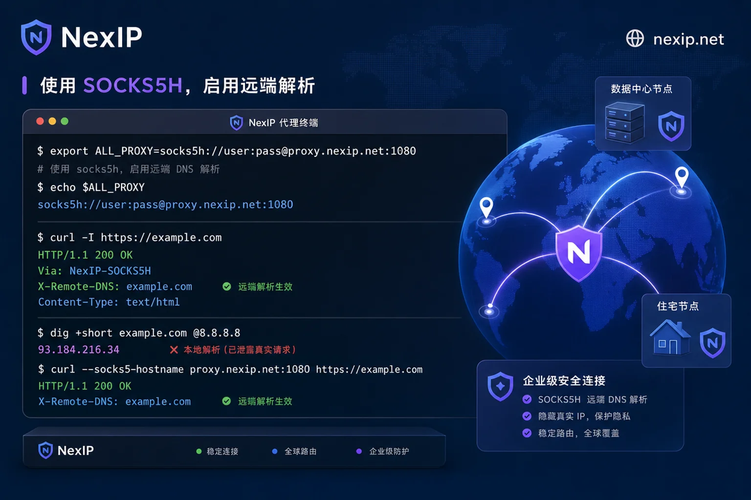 SOCKS5代理配置与DNS泄漏检测示例