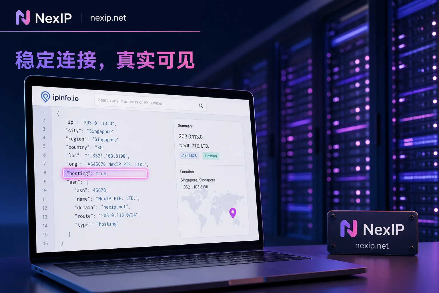 ipinfo显示hosting标记的示意图 ipinfo显示hosting标记的示意图